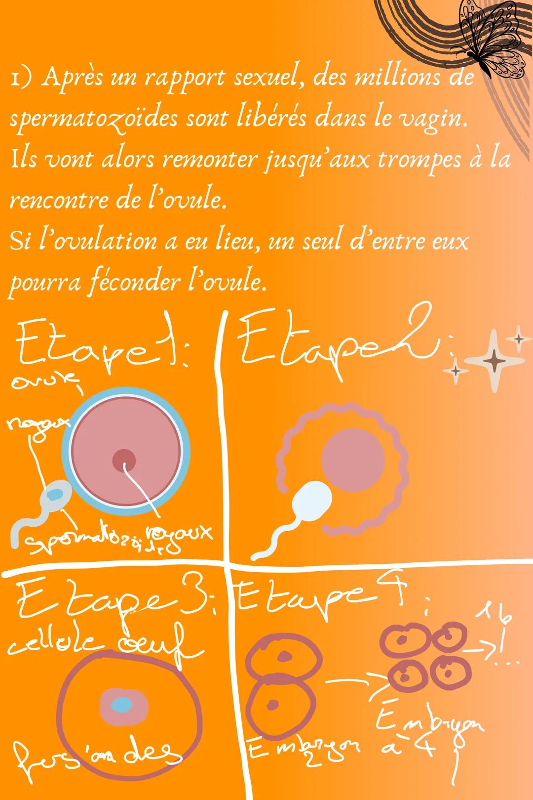 # SVT

CARACTÈRE SEXUEL SECONDAIRE
-DÉVELOPPEMENT DE LA POITRINE
-ÉLARGISSEMENT DU BASSIN
-LA CROISSANCE S'ACCÉLÈRE
-POILS
-LA MUE DE LA VOI