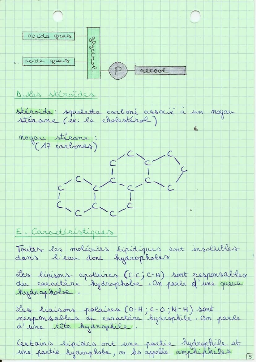 biologie, biochimie
I. Les nutriments
nutriments: toutes substances absorbables et
utilisables par
l'organisme
macronutriments:
besoins sont