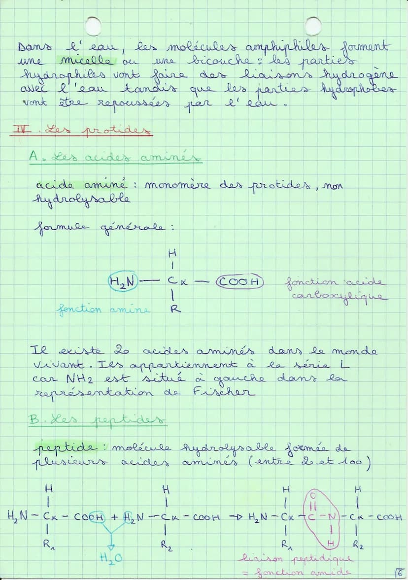 biologie, biochimie
I. Les nutriments
nutriments: toutes substances absorbables et
utilisables par
l'organisme
macronutriments:
besoins sont