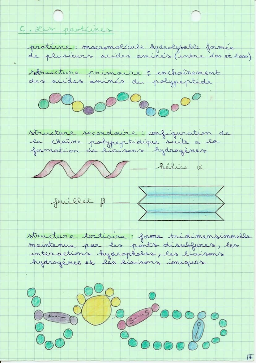 biologie, biochimie
I. Les nutriments
nutriments: toutes substances absorbables et
utilisables par
l'organisme
macronutriments:
besoins sont