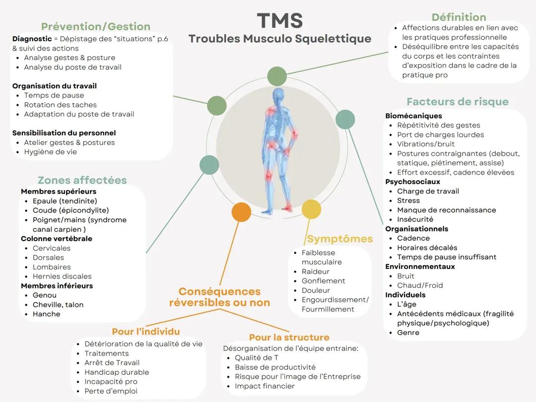 Carte mentale - Troubles Musculo Squelettique
