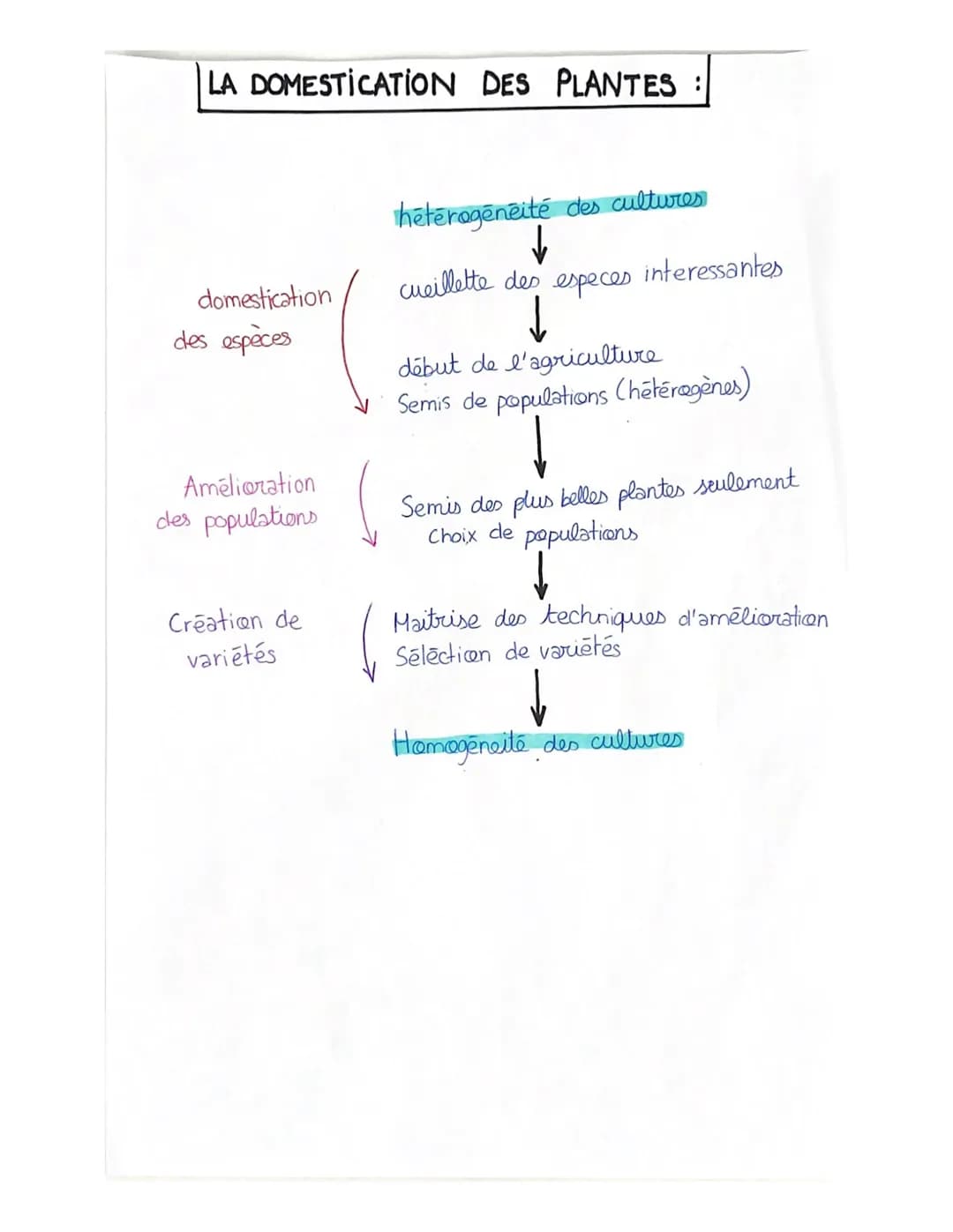 LA DOMESTICATION DES PLANTES :
domestication
des espèces
Amélioration
des populations
Création de
variétés
heterogeneité des cultures
cueill