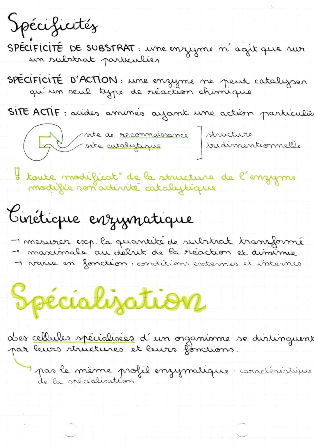 24112/21
enzymes
Propriétés
ENZYME: proteine ayant la propriété de catalyser une
réaction chimique => biocatalyseur
PROPRIÉTÉS:
accélèrent l