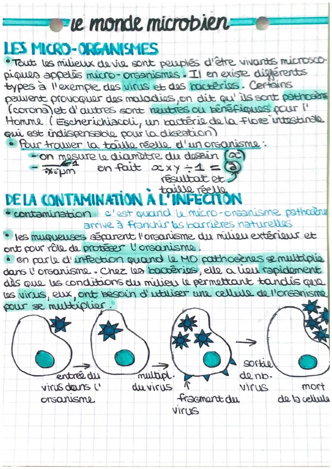 
<h2 id="fichedervisionlemondemicrobien">Fiche de Révision Le Monde Microbien</h2>
<p>Le monde microbien est peuplé de micro-organismes, tel