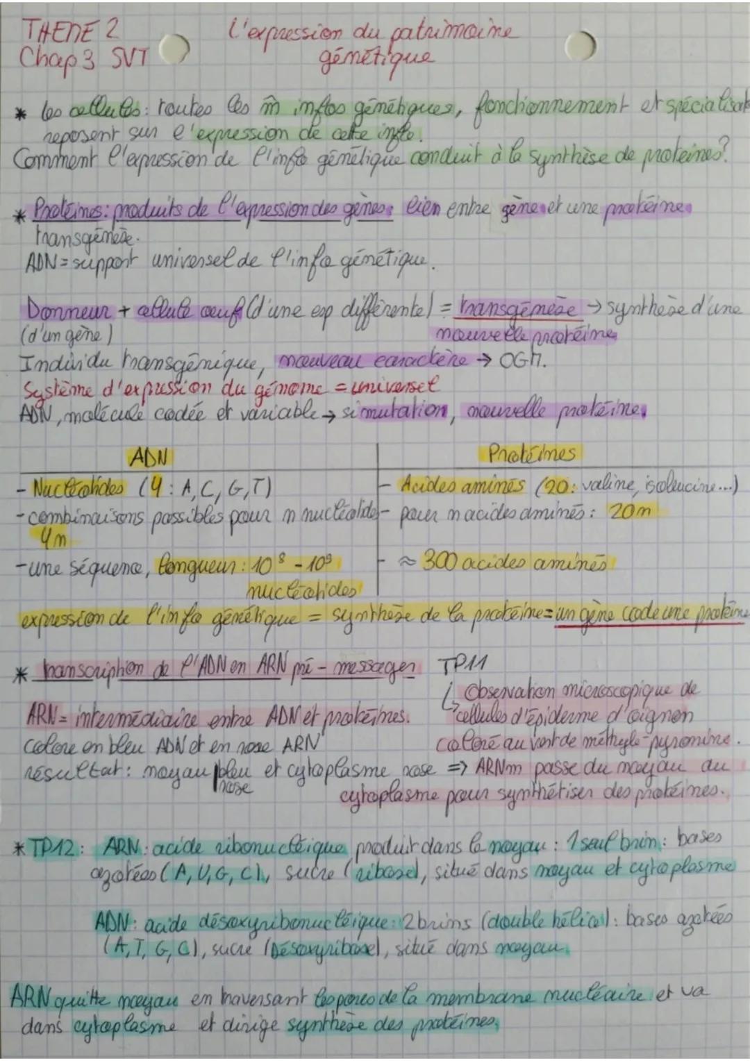 THERE 2 L'exposing net patrimoine)
Chap 3 SVT génétique

* les cellules: toutes les m inftos génétiques, fonctionnement et spécialisat
repos