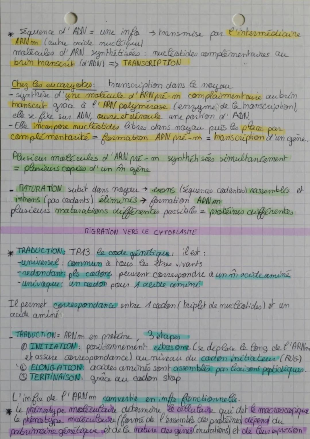 THERE 2 L'exposing net patrimoine)
Chap 3 SVT génétique

* les cellules: toutes les m inftos génétiques, fonctionnement et spécialisat
repos