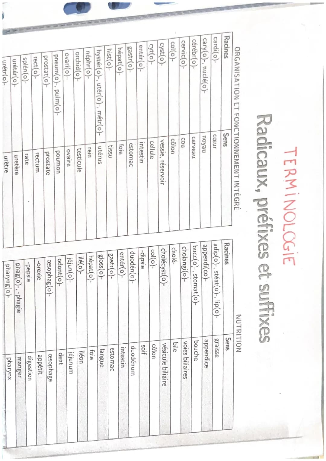 Terminologie 