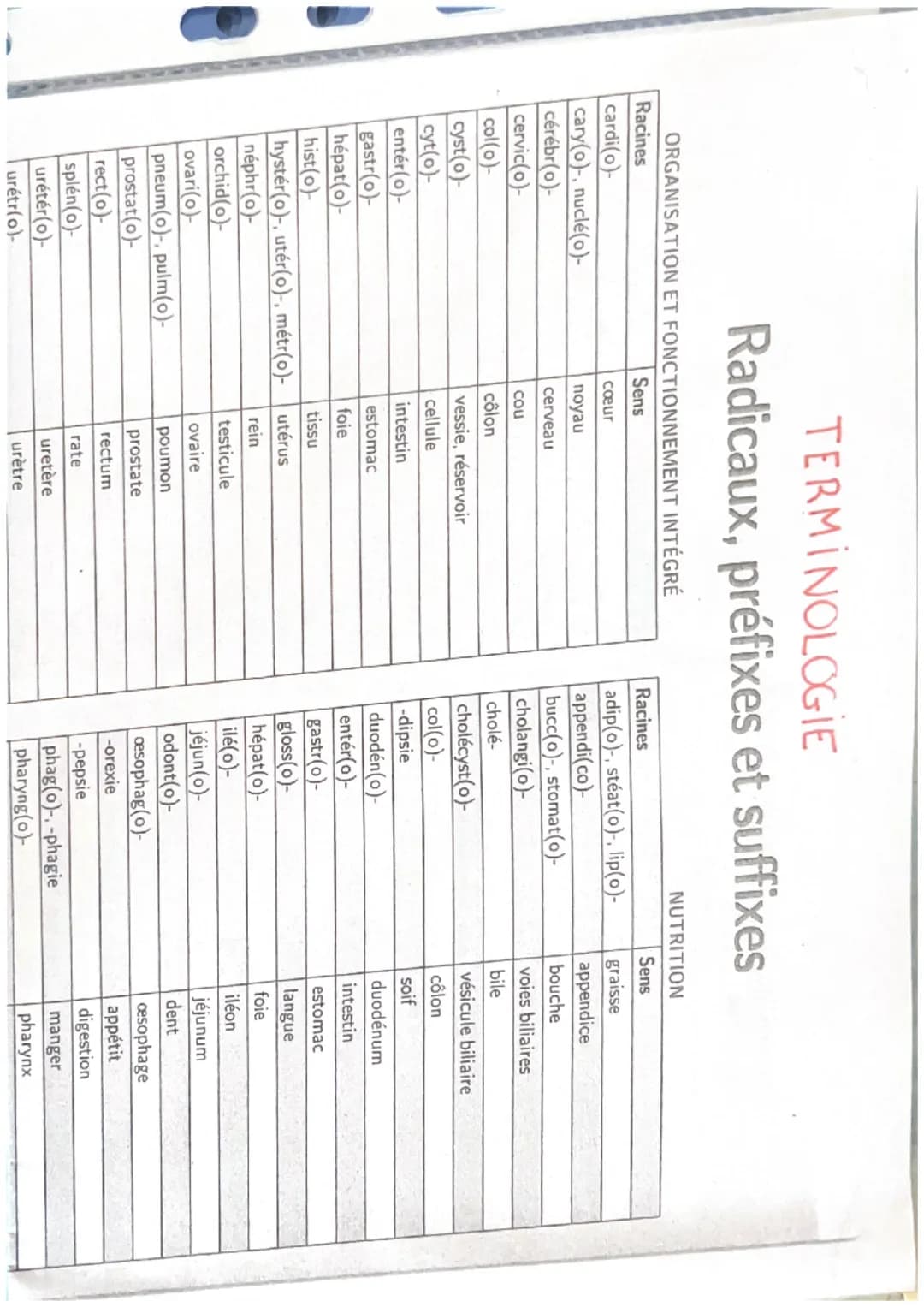 TERMINOLOGIE
Radicaux, préfixes et suffixes
ORGANISATION ET FONCTIONNEMENT INTÉGRÉ
Racines
cardi(o)
cary(o)-, nuclé(o)-
cérébr(o)-
cervic(o)