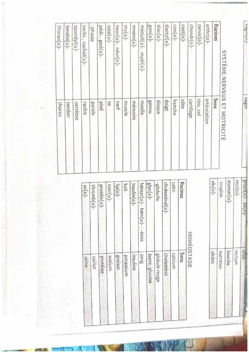 TERMINOLOGIE
Radicaux, préfixes et suffixes
ORGANISATION ET FONCTIONNEMENT INTÉGRÉ
Racines
cardi(o)
cary(o)-, nuclé(o)-
cérébr(o)-
cervic(o)