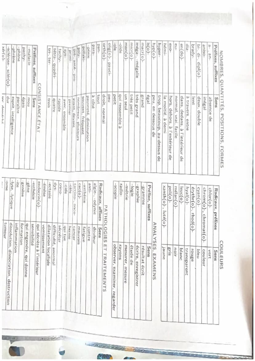 TERMINOLOGIE
Radicaux, préfixes et suffixes
ORGANISATION ET FONCTIONNEMENT INTÉGRÉ
Racines
cardi(o)
cary(o)-, nuclé(o)-
cérébr(o)-
cervic(o)