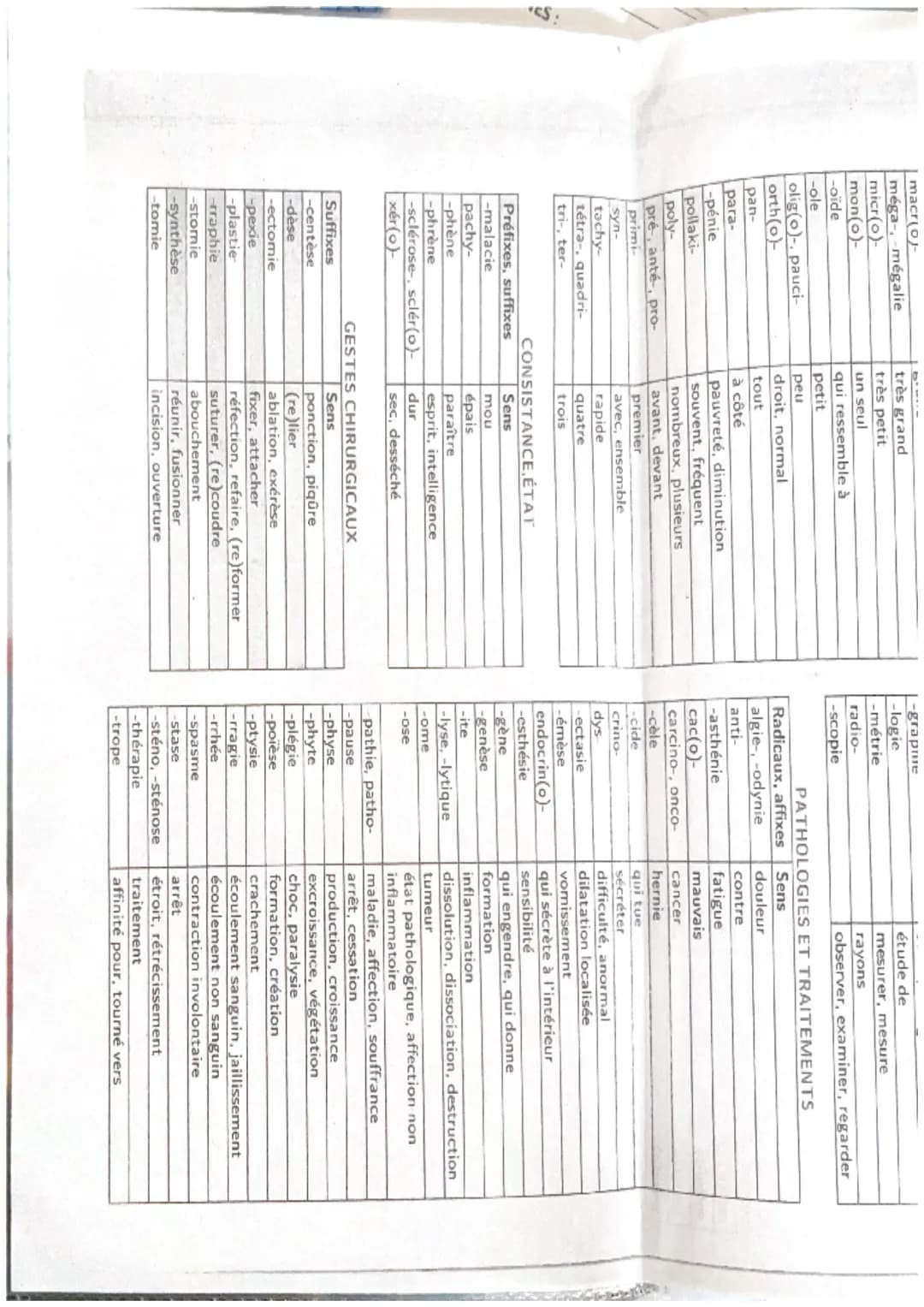 TERMINOLOGIE
Radicaux, préfixes et suffixes
ORGANISATION ET FONCTIONNEMENT INTÉGRÉ
Racines
cardi(o)
cary(o)-, nuclé(o)-
cérébr(o)-
cervic(o)