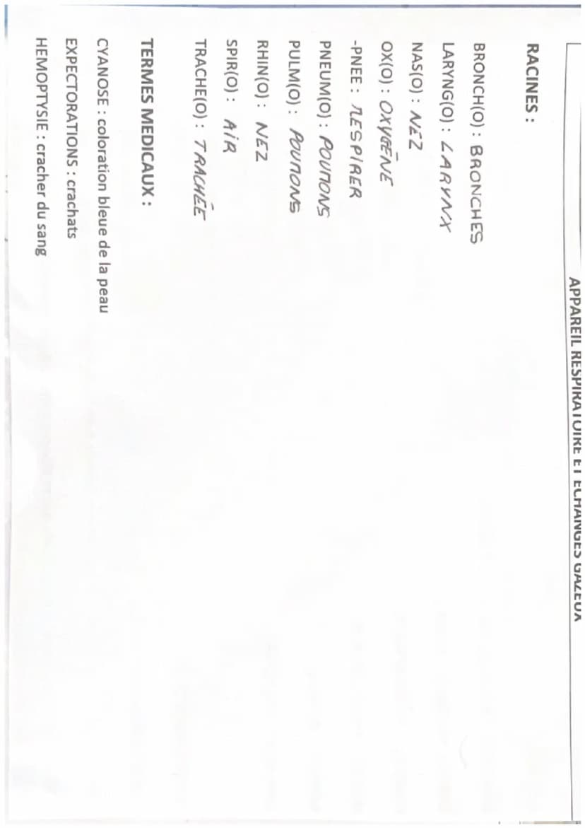 TERMINOLOGIE
Radicaux, préfixes et suffixes
ORGANISATION ET FONCTIONNEMENT INTÉGRÉ
Racines
cardi(o)
cary(o)-, nuclé(o)-
cérébr(o)-
cervic(o)