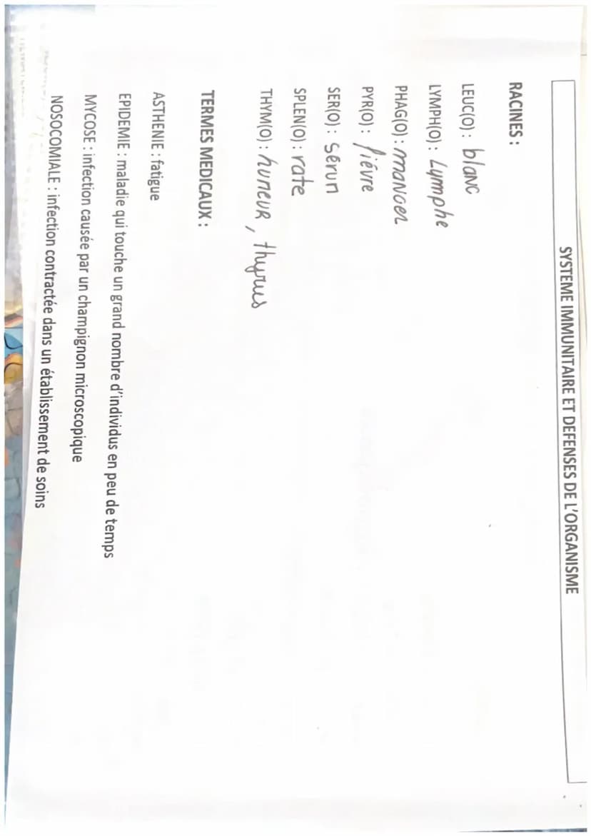 TERMINOLOGIE
Radicaux, préfixes et suffixes
ORGANISATION ET FONCTIONNEMENT INTÉGRÉ
Racines
cardi(o)
cary(o)-, nuclé(o)-
cérébr(o)-
cervic(o)