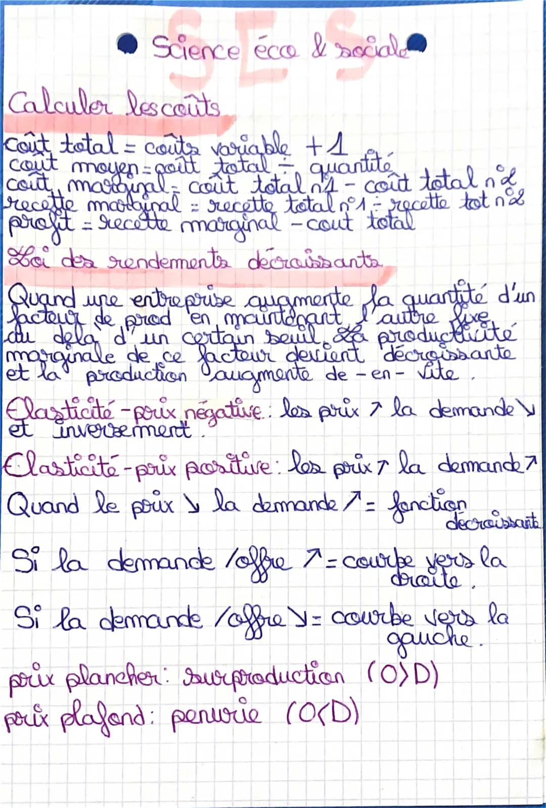 Fiche de Révision SES 1ère : Loi des rendements décroissants et Surplus
