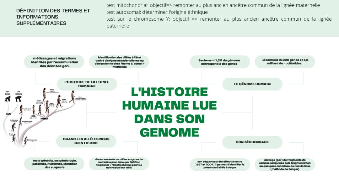 Découverte du Génome Humain: Tout sur le Séquençage et les Tests Génétiques