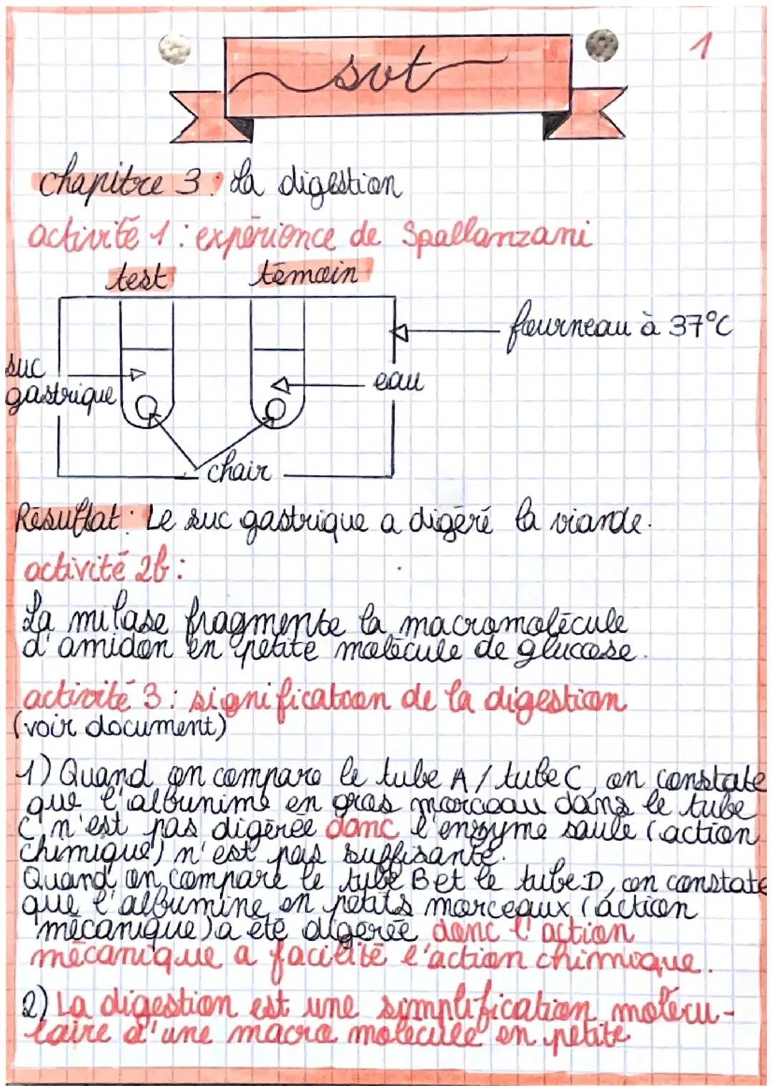 Cours Digestion 3ème PDF: Découvre l'Appareil Digestif et le Microbiote Intestinal