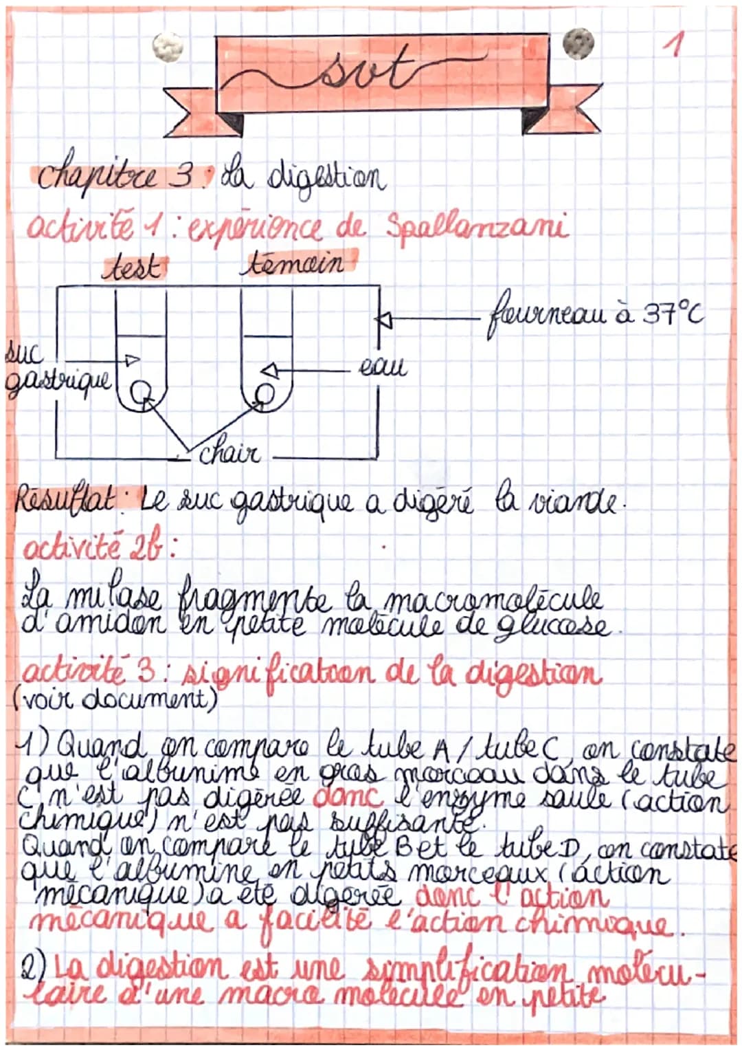 out
chapitre 3 La digestion
activite 1: expérience de Spallanzani
test
temain
suc
gastrique
þ
eau
fourneau à 37°C
chair
Resultat: Le suc gas