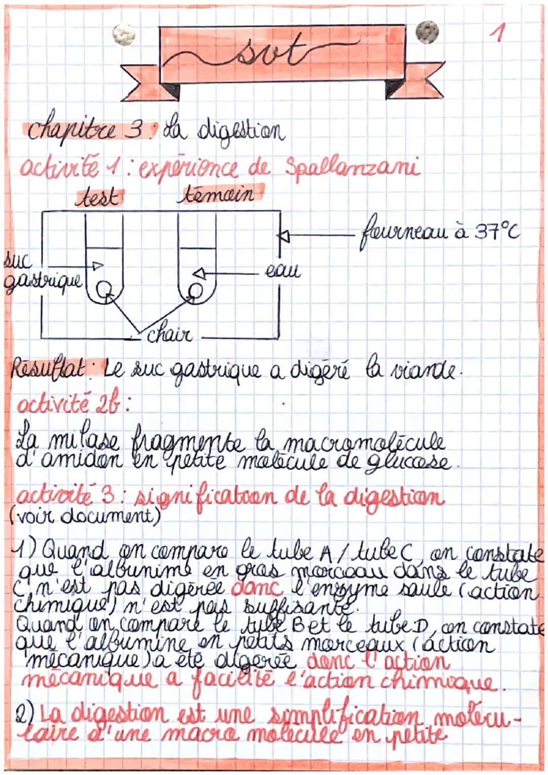 out
chapitre 3 La digestion
activite 1: expérience de Spallanzani
test
temain
suc
gastrique
þ
eau
fourneau à 37°C
chair
Resultat: Le suc gas