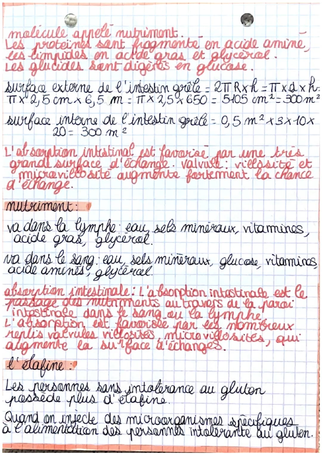 out
chapitre 3 La digestion
activite 1: expérience de Spallanzani
test
temain
suc
gastrique
þ
eau
fourneau à 37°C
chair
Resultat: Le suc gas