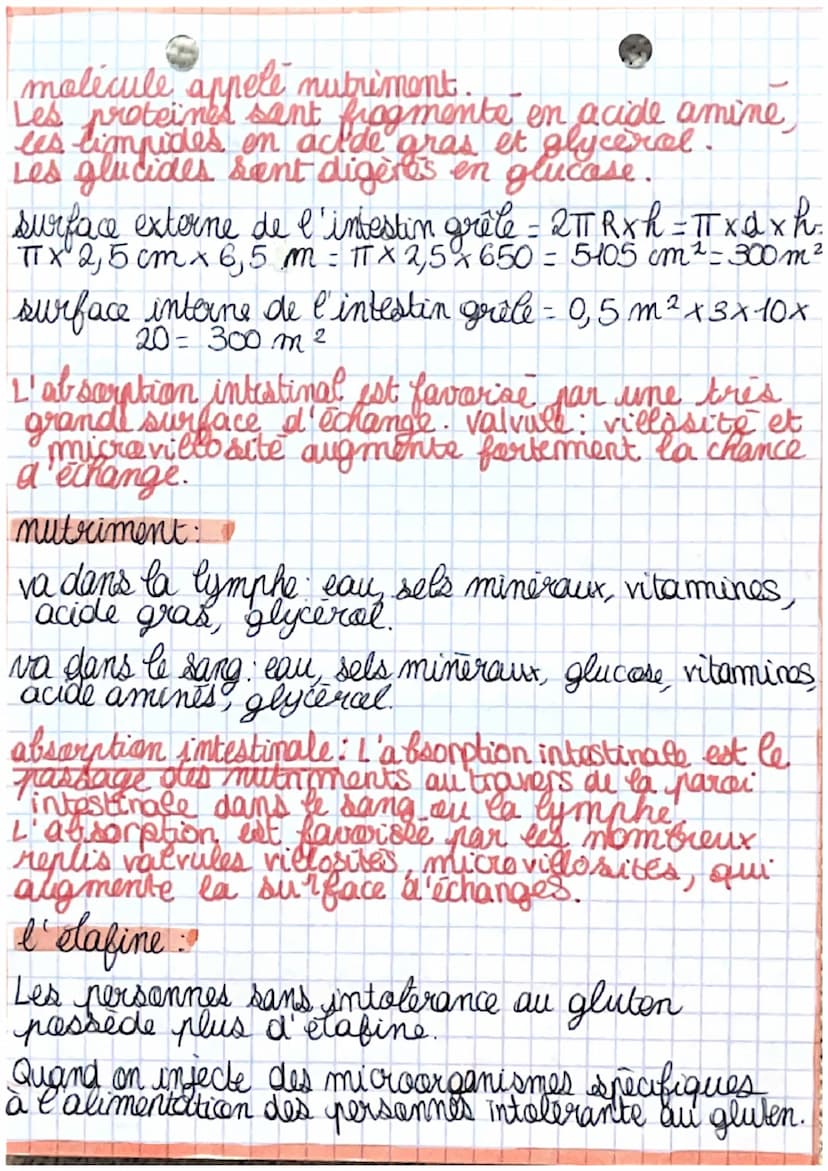out
chapitre 3 La digestion
activite 1: expérience de Spallanzani
test
temain
suc
gastrique
þ
eau
fourneau à 37°C
chair
Resultat: Le suc gas