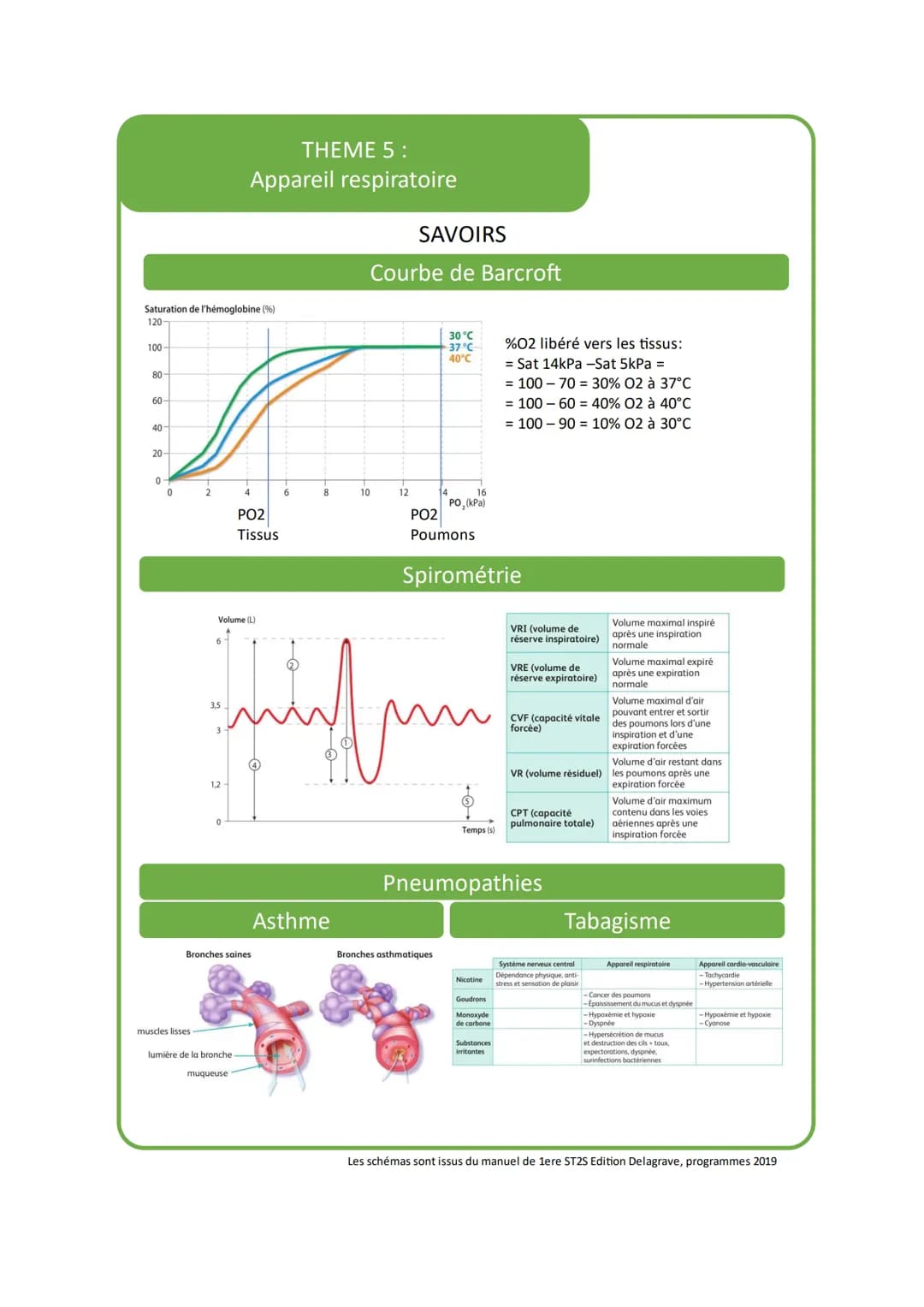 THEME 5:
Appareil respiratoire
VOCABULAIRE
Vocabulaire
Apnée
1
Bronchiolite
2
Définition
Arrêt temporaire de la respiration
Inflammation des