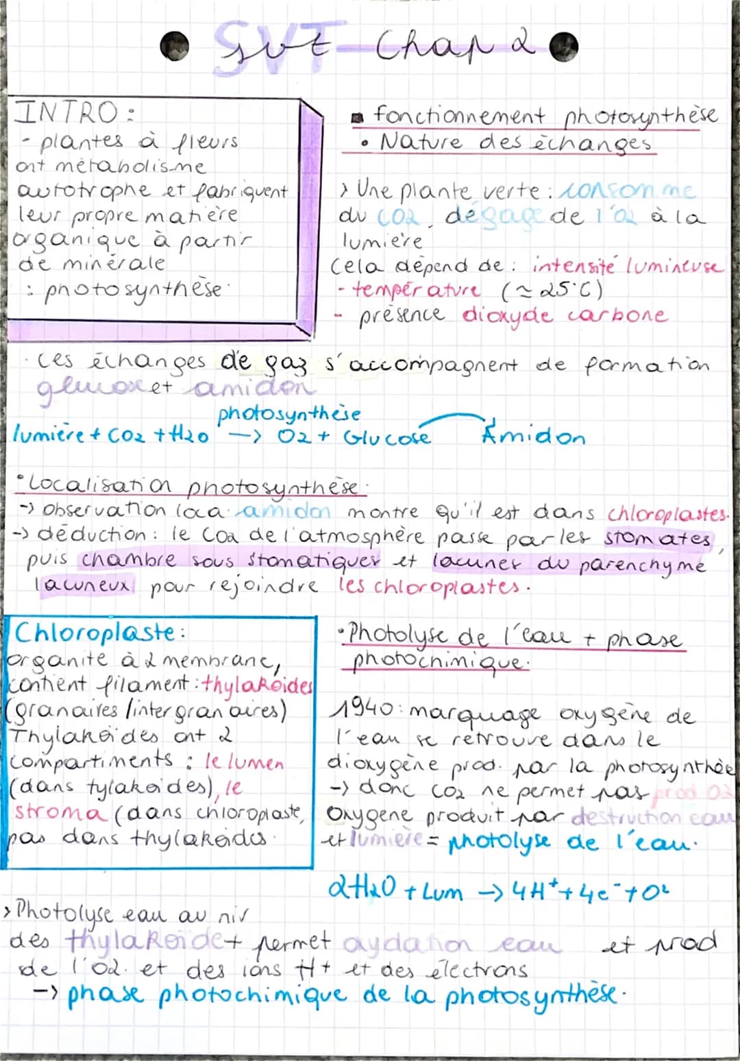 SUZ Chap 20
INTRO:
plantes à fleurs.
ont metabolis-me
autotrophe et fabriquent.
leur propre matière.
organique à partir
de minérale
: photos