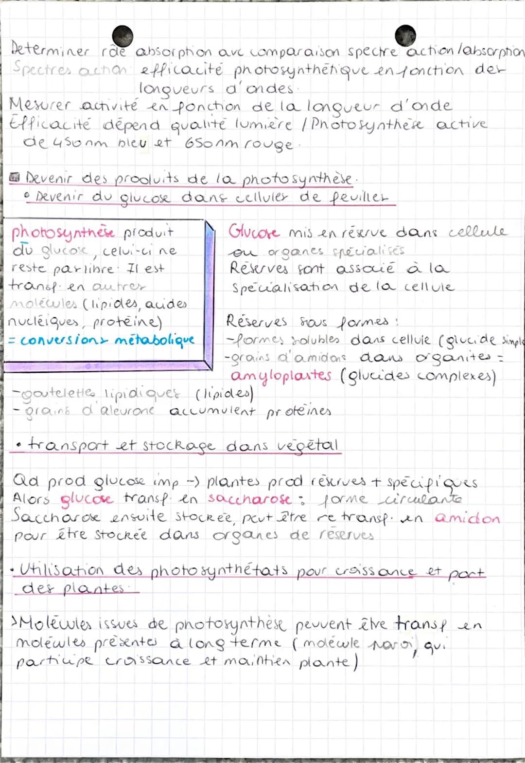 SUZ Chap 20
INTRO:
plantes à fleurs.
ont metabolis-me
autotrophe et fabriquent.
leur propre matière.
organique à partir
de minérale
: photos