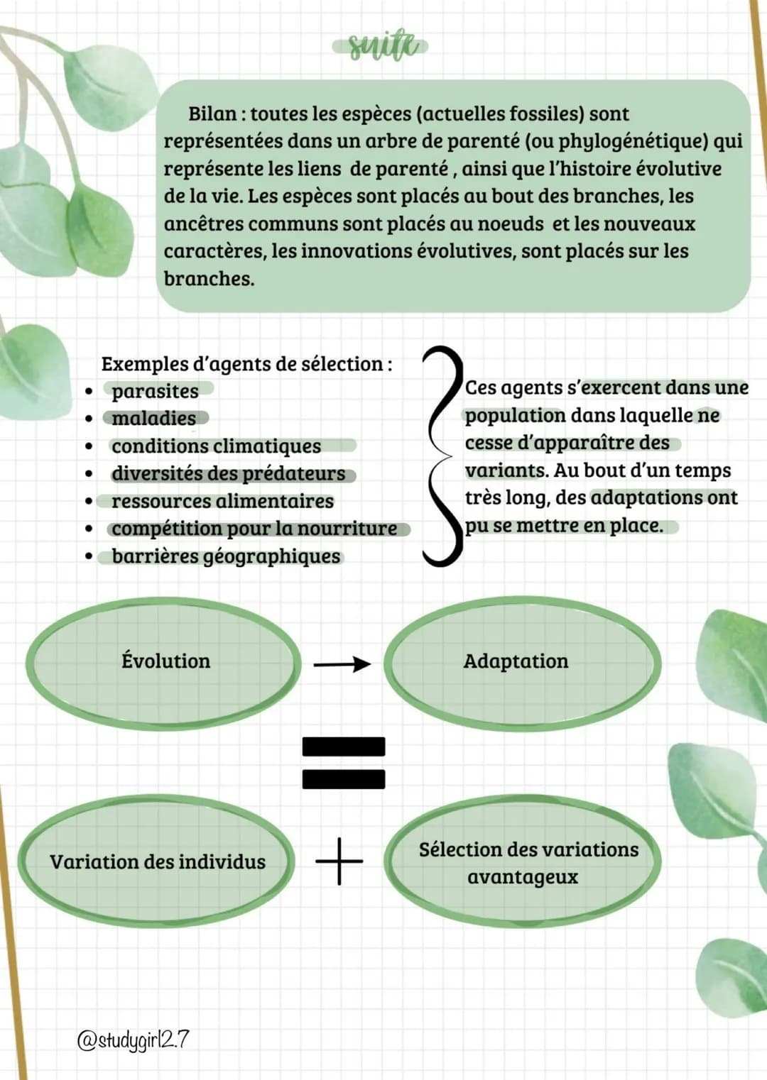 suite
Bilan : toutes les espèces (actuelles fossiles) sont
représentées dans un arbre de parenté (ou phylogénétique) qui
représente les lien