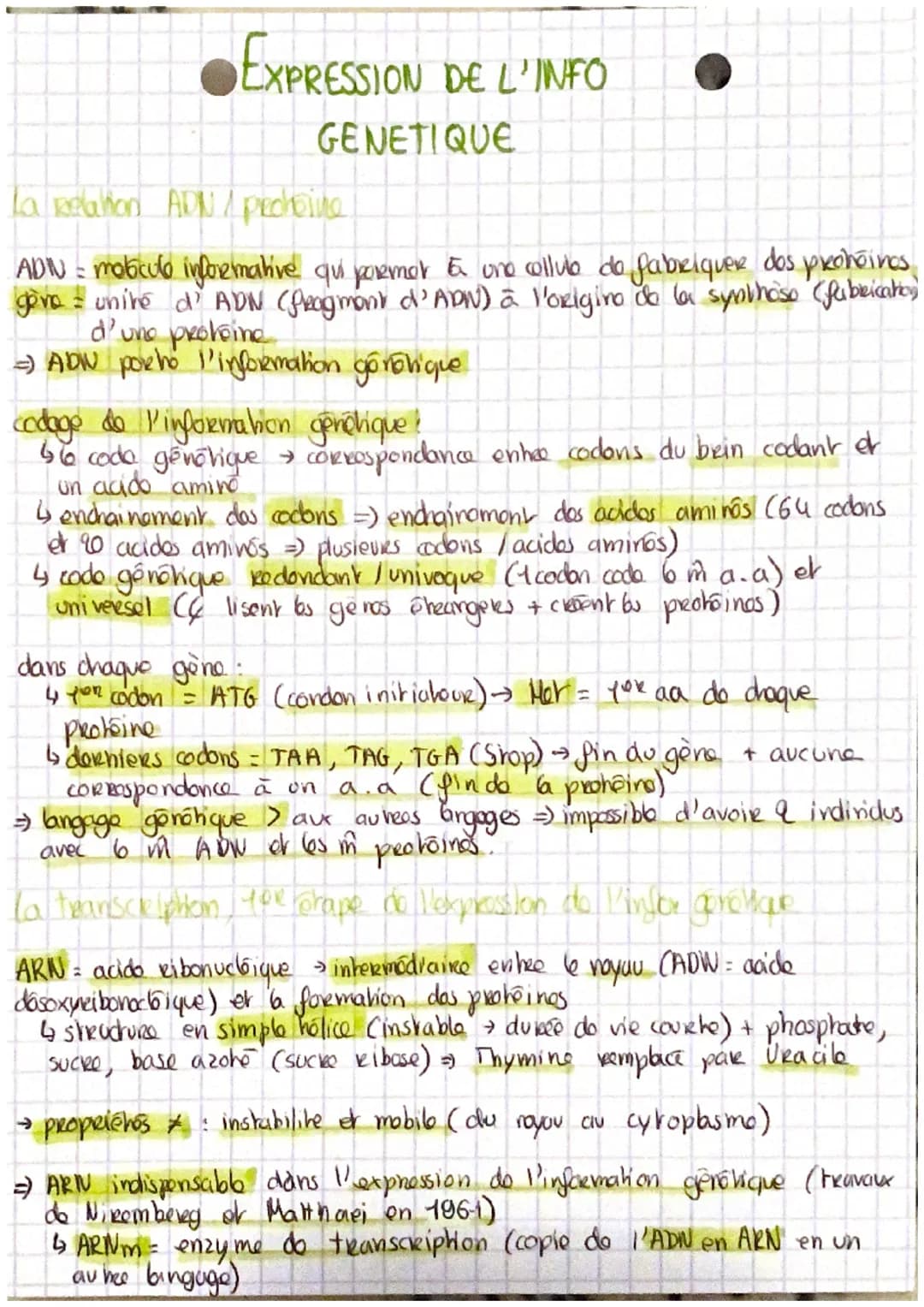 EXPRESSION DE L'INFO
GENETIQUE
la Relation ADN / pechoine
ADN = mobiculo informative qui parmor & une collub do fabriquer dos prohoinos
gove