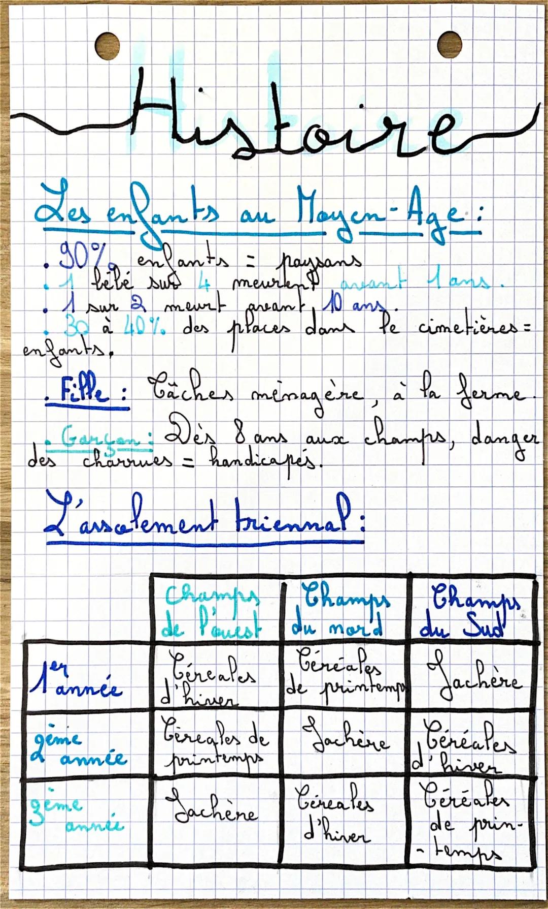 # Histoire

Les enfants au Moyen-Age:
*   30%
*   1
bebé sus
an
meuren
ant lans.
*   sur 2 meurt preamt, 10 andi cimetières =
enfants,
place