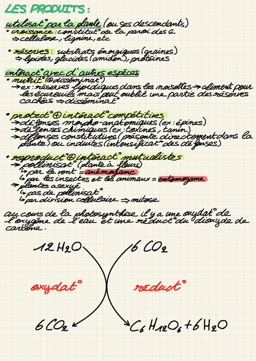 H₂O
PHOTOSYNTESE:
→ se déroule dans les chloroplastes
comporte & phose roto chimique)
2 phases:
2. phase obscure (biochimique)
02
ITES
PLANT
