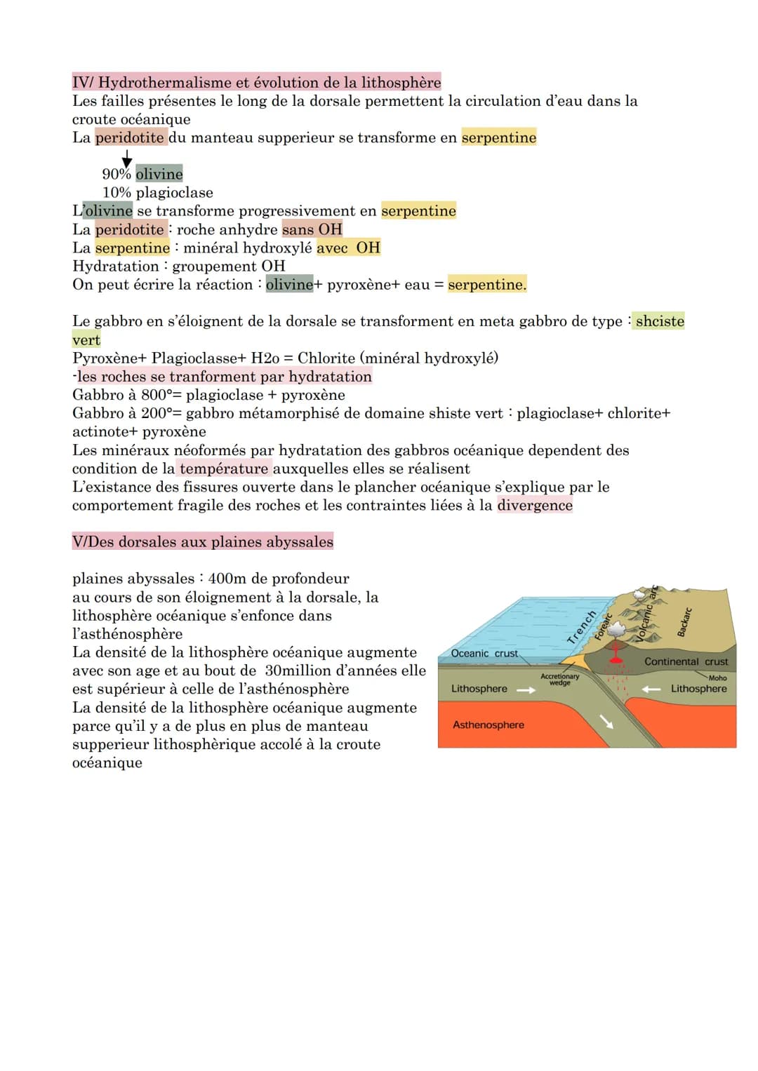 Chapitre 10: La dynamique des zones de divergence lithosphérique
La dorsale est une chaine de montagne continue, certaine dorsale sont carac