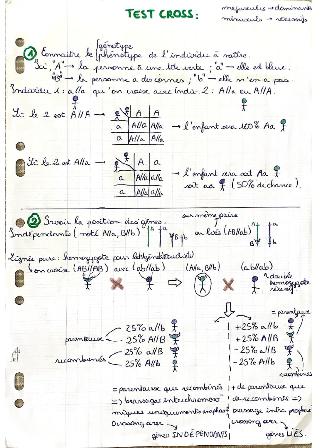 Croisement test / test cross