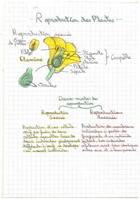 Know Reproduction des plantes  thumbnail