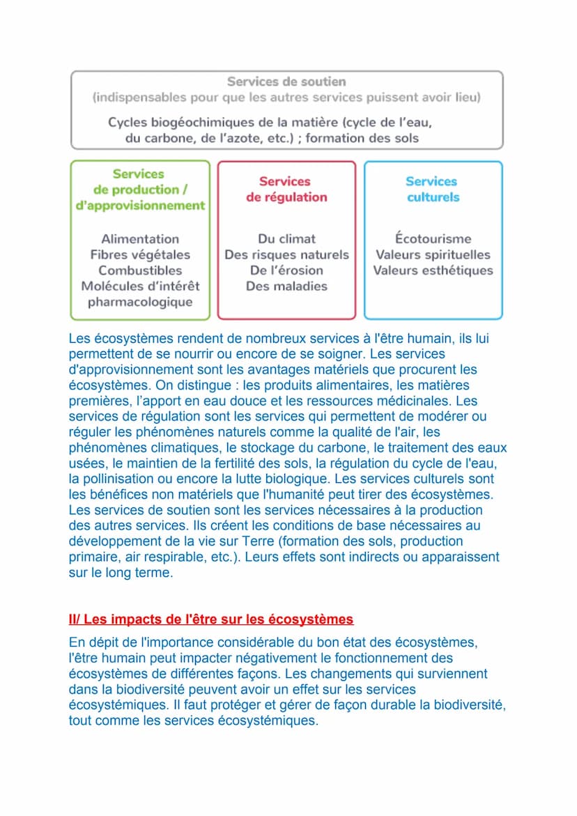 L'HUMANITE ET LES ECOSYSTEMES : LES SERVICES
ECOSYSTEMIQUES ET LEUR GESTION
I/ Les interactions entre l'être humain et les écosystèmes
L'esp