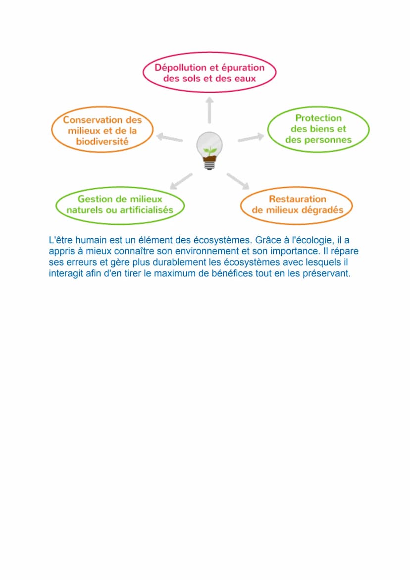 L'HUMANITE ET LES ECOSYSTEMES : LES SERVICES
ECOSYSTEMIQUES ET LEUR GESTION
I/ Les interactions entre l'être humain et les écosystèmes
L'esp
