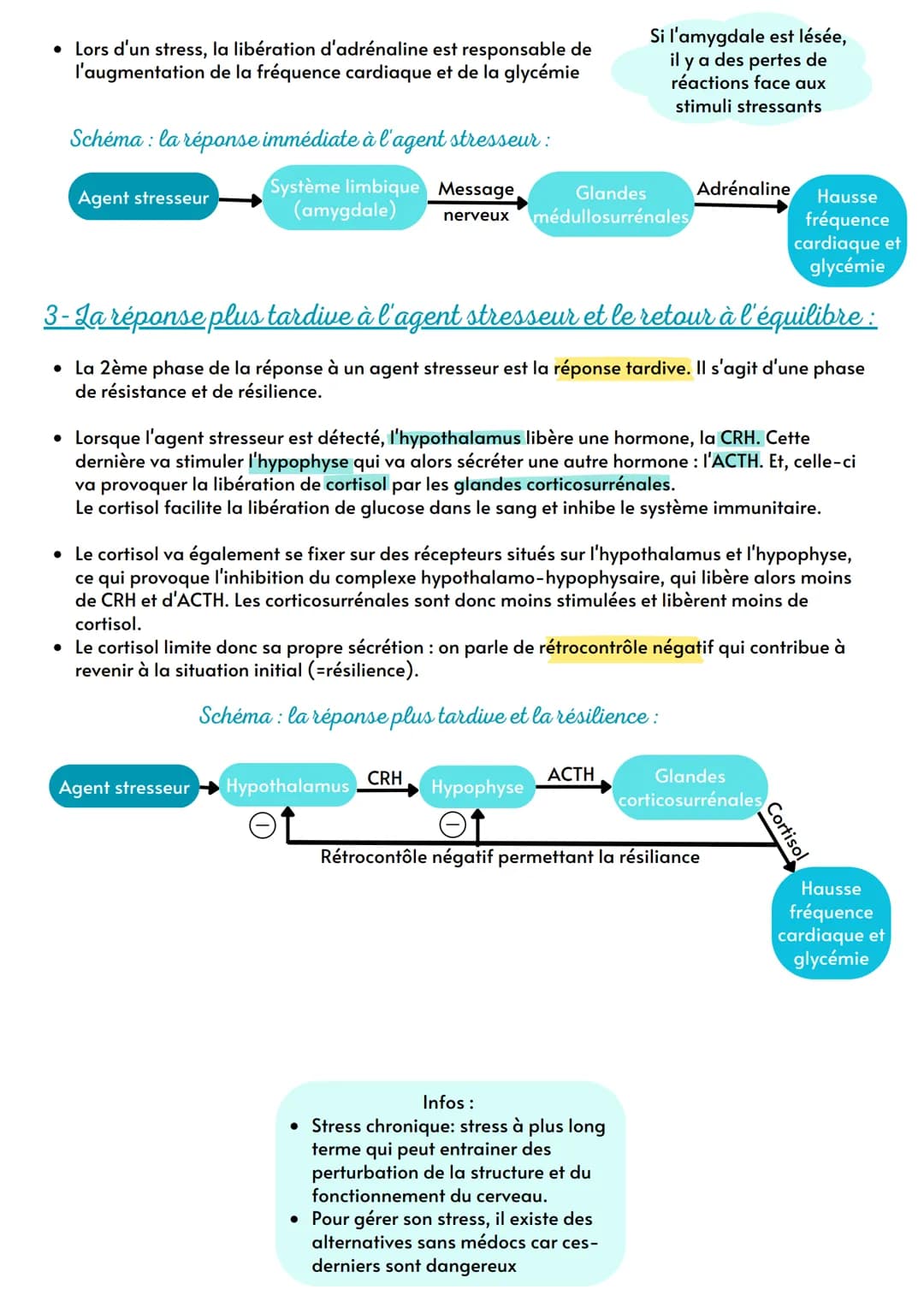 Th 3 : Produire le mvt, contraction muscu et apport d'énergie
Ch 10: Comportement et stress :
l'adaptabilité de l'organisme
Intro : Les syst