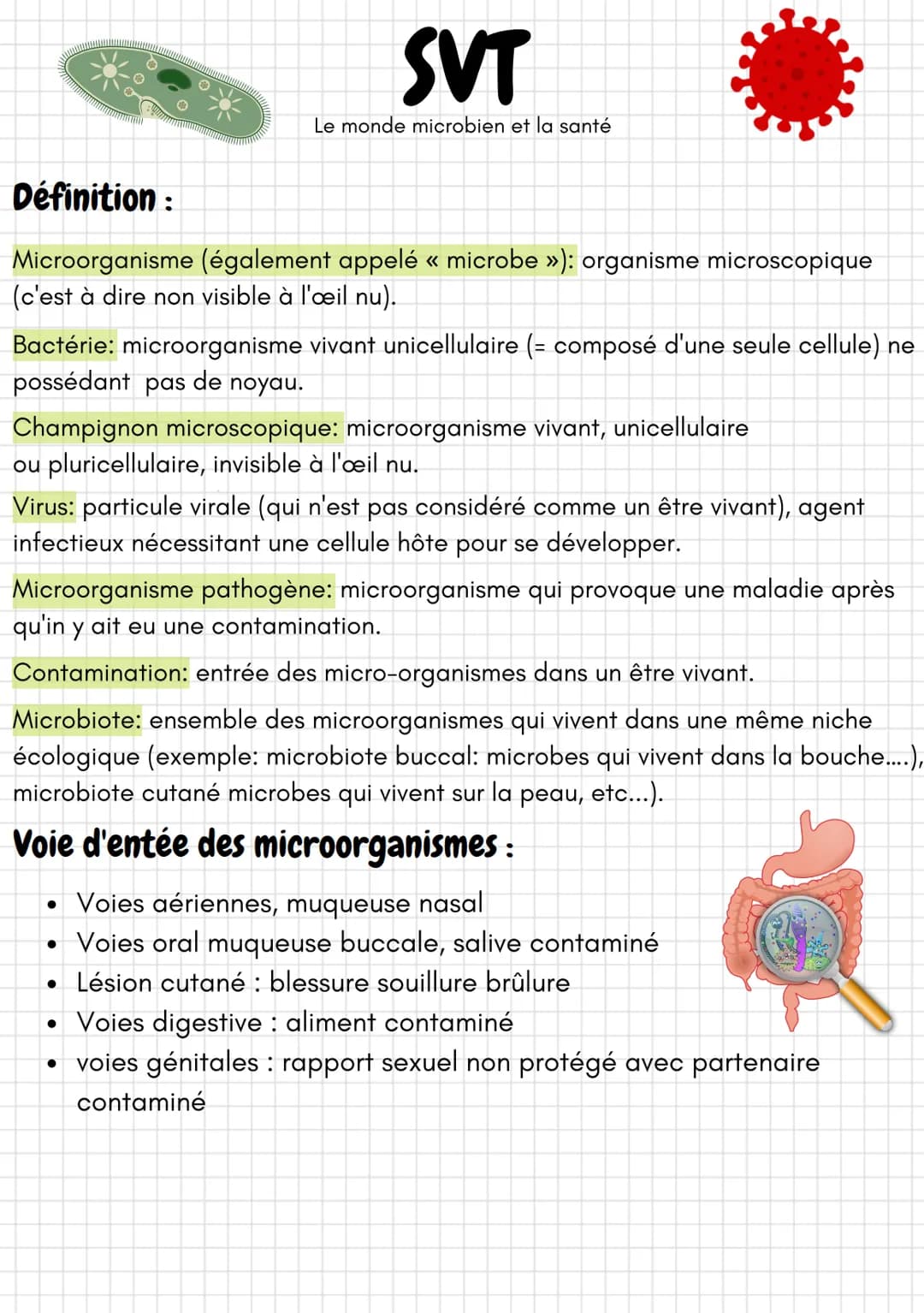 SVT
Le monde microbien et la santé
Définition:
Microorganisme (également appelé « microbe »): organisme microscopique
(c'est à dire non visi