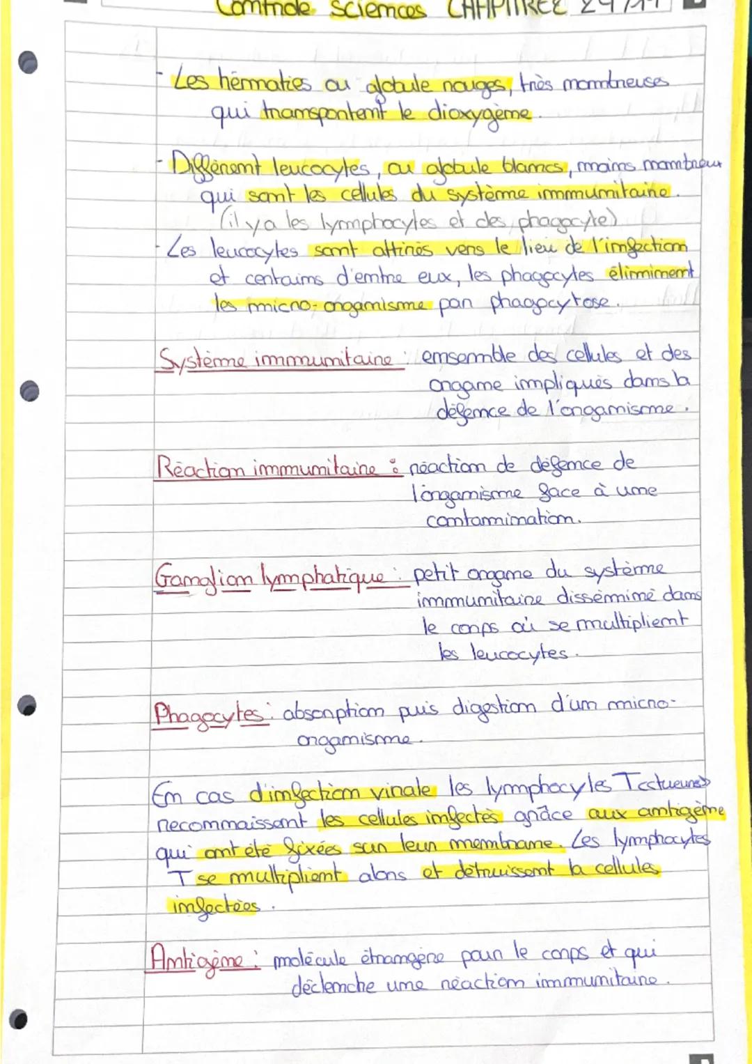 système immunitaire 