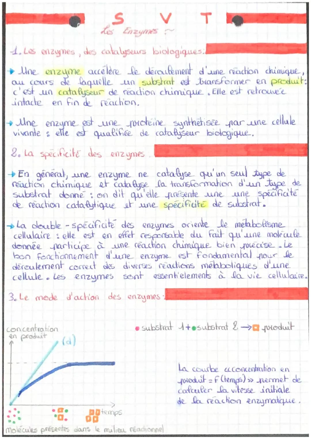 Tableau des Enzymes: Caractéristiques et Définitions