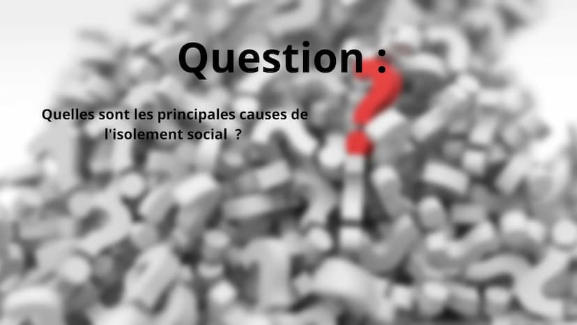 Pauvreté, isolement et entrave à
l'exercice des libertés Introduction
La pauvreté, l'isolement social et les atteintes aux libertés sont des