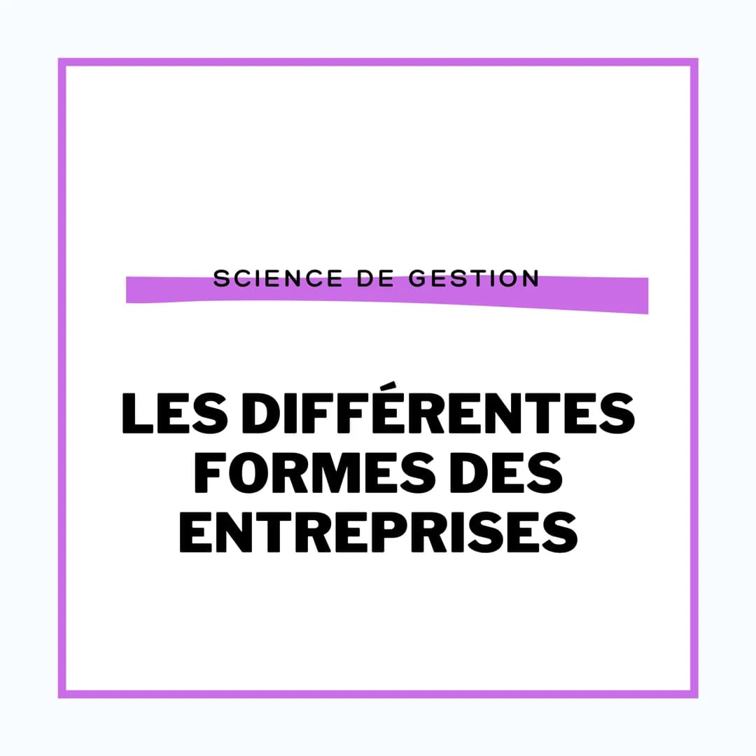 SCIENCE DE GESTION
LES DIFFÉRENTES
FORMES DES
ENTREPRISES DES DIFFÉRENCES DE
TAILLE
Les très petites entreprises (TPE)
Elles comptent de 1 à