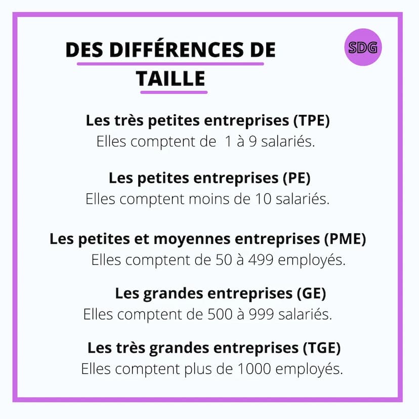 SCIENCE DE GESTION
LES DIFFÉRENTES
FORMES DES
ENTREPRISES DES DIFFÉRENCES DE
TAILLE
Les très petites entreprises (TPE)
Elles comptent de 1 à
