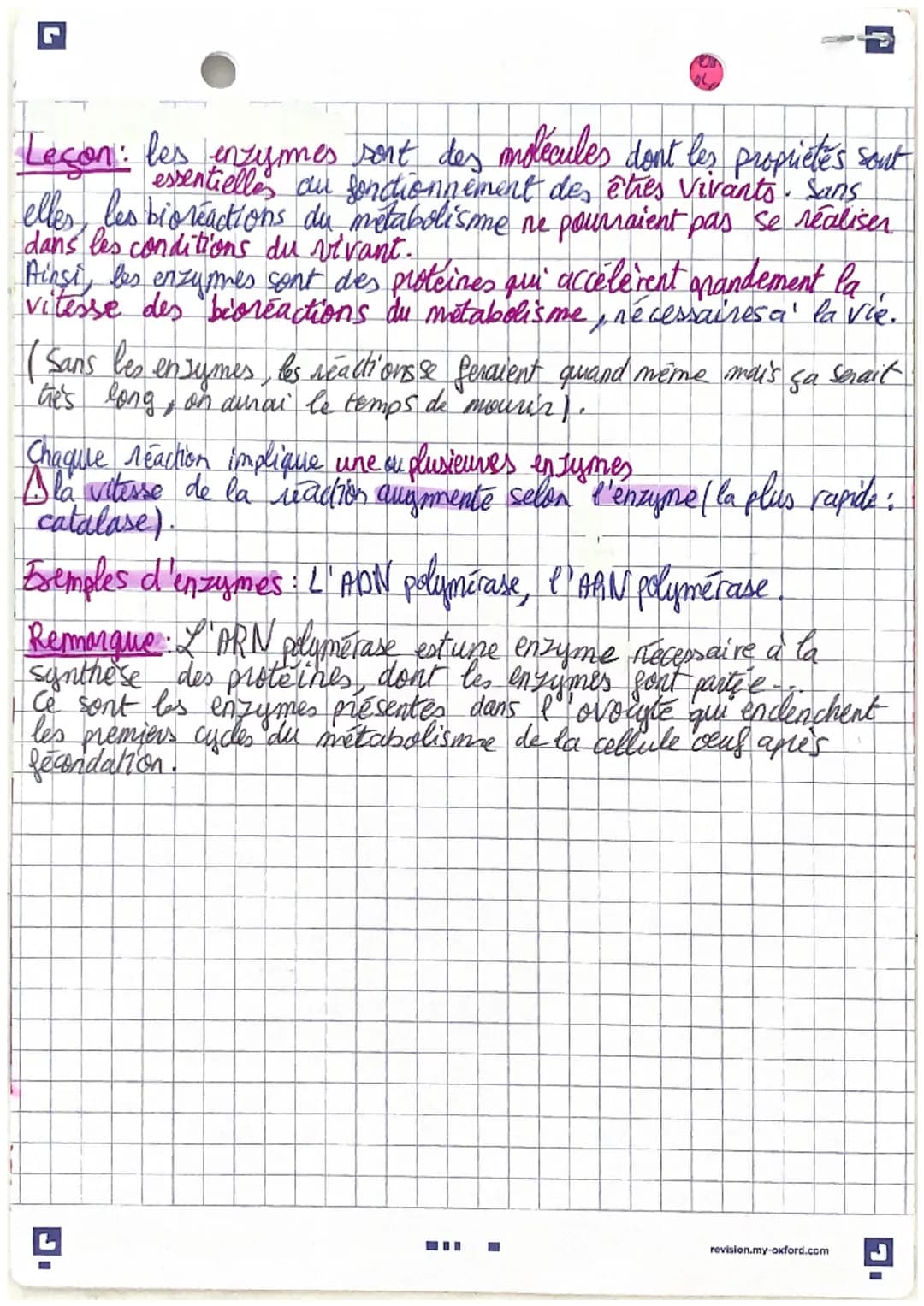 une cellule
octrice other les enzymes
permet l'adel
1
Les enzymes, des protéines aux propriétés catalytiques
Rappel : Les enzymes sont des p