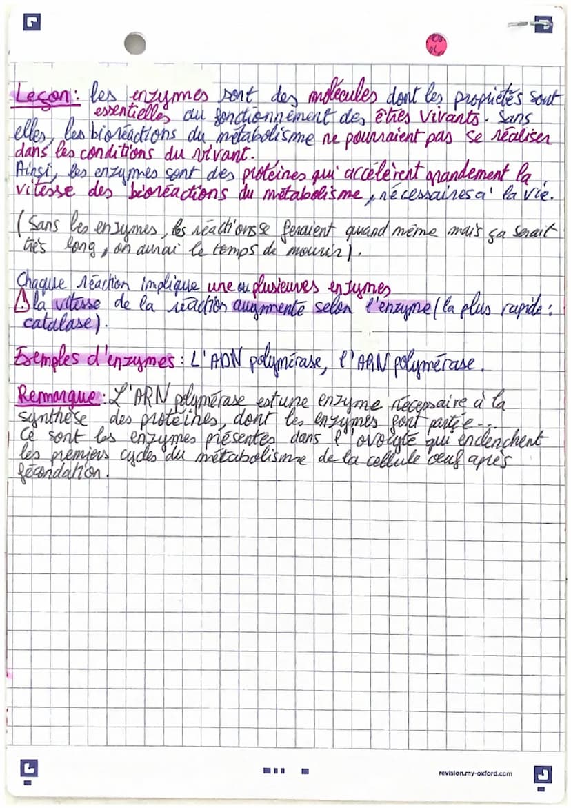 une cellule
octrice other les enzymes
permet l'adel
1
Les enzymes, des protéines aux propriétés catalytiques
Rappel : Les enzymes sont des p