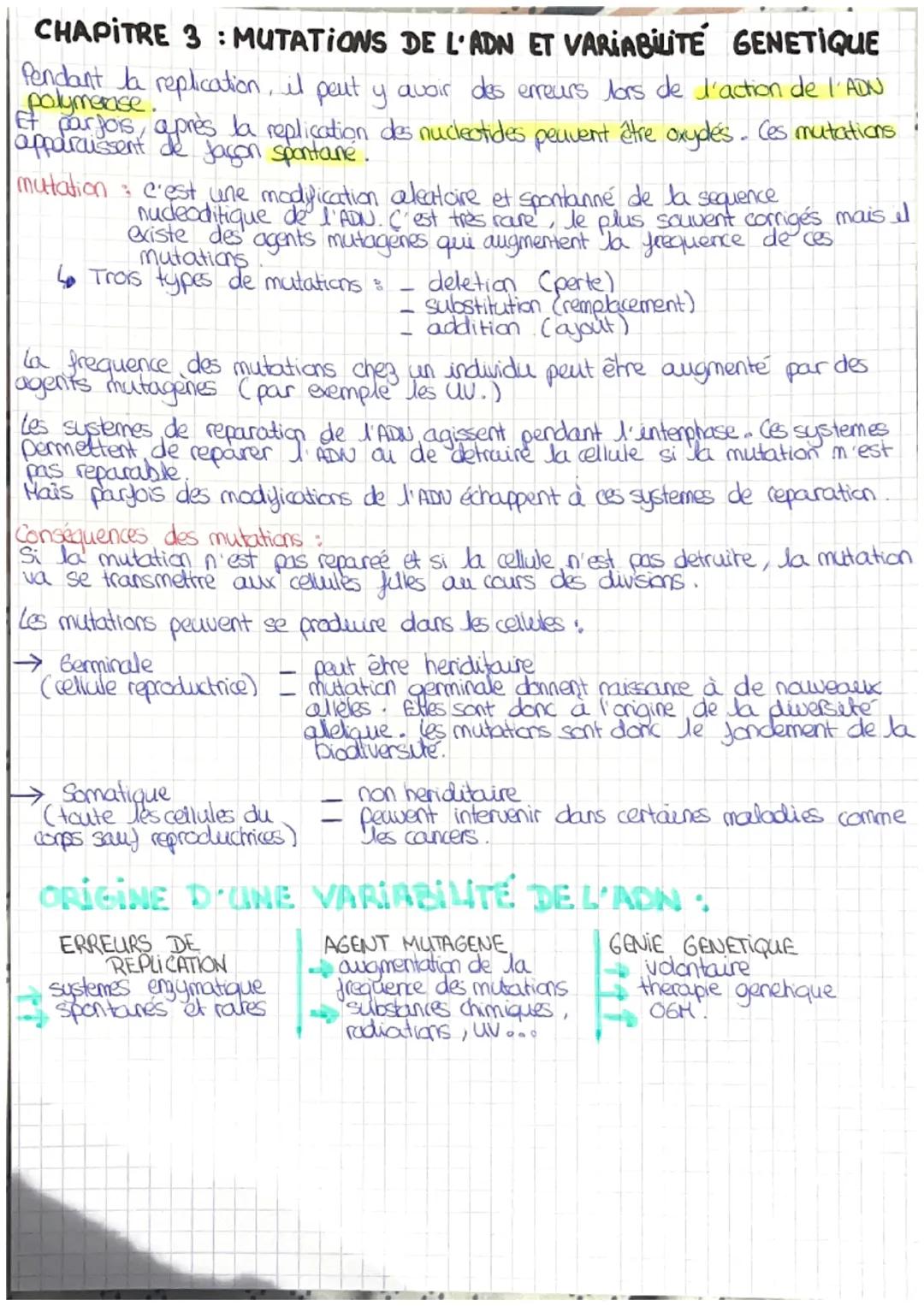 # CHAPITRE 3: MUTATIONS DE L'ADN ET VARIABILITÉ GENETIQUE

polymerase.
Pendant la replication, il peut y avoir des erreurs lors de l'action 