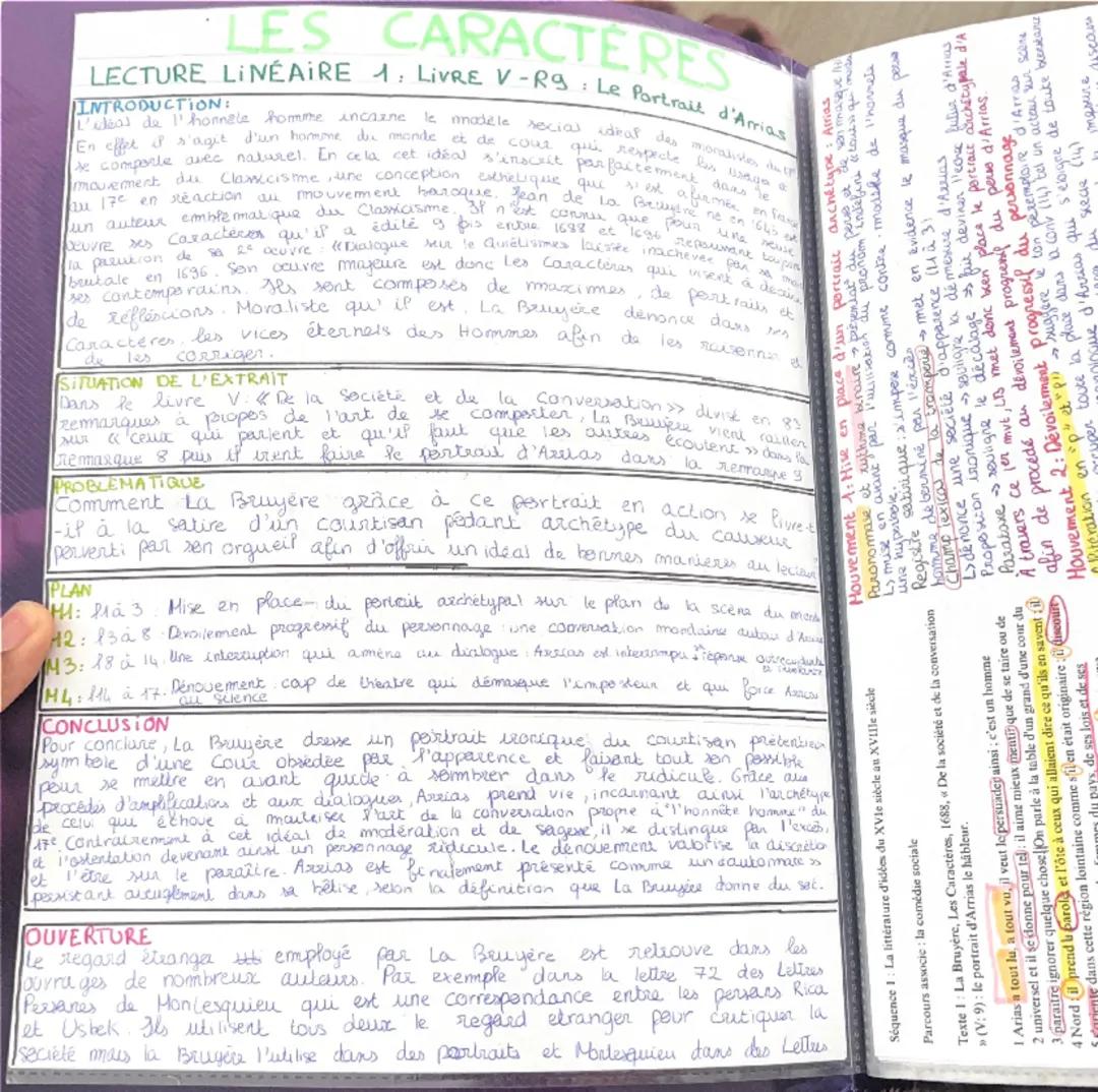 Fiches de Révision pour le Bac: Analyses Littéraires