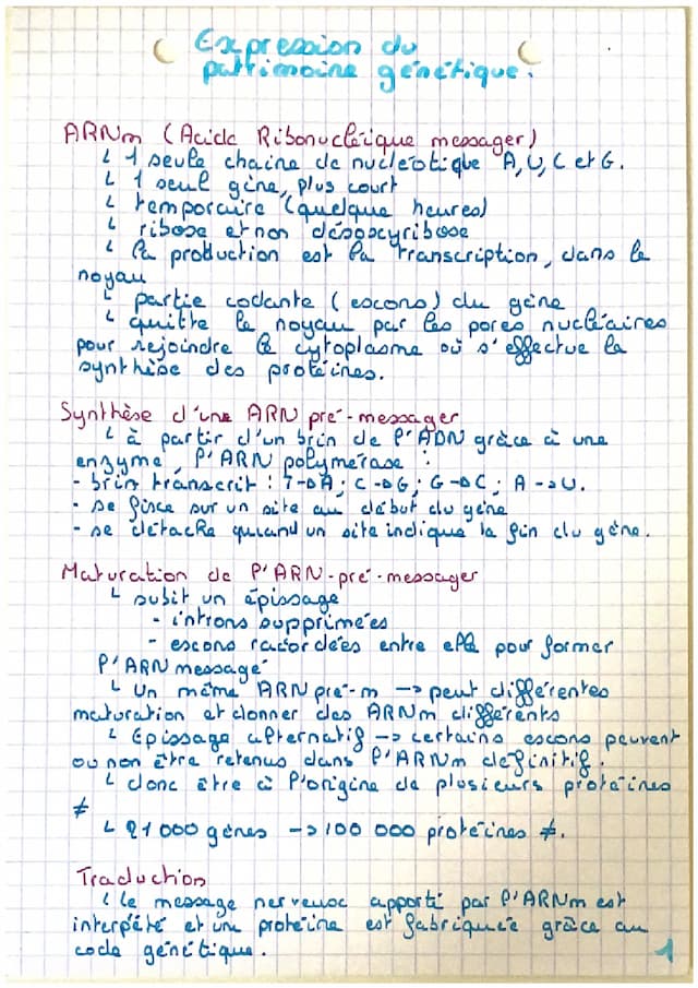 Know Svt expression du patrimoine génétique  thumbnail
