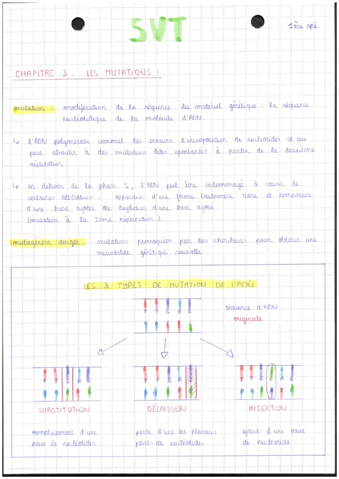 Les mutations