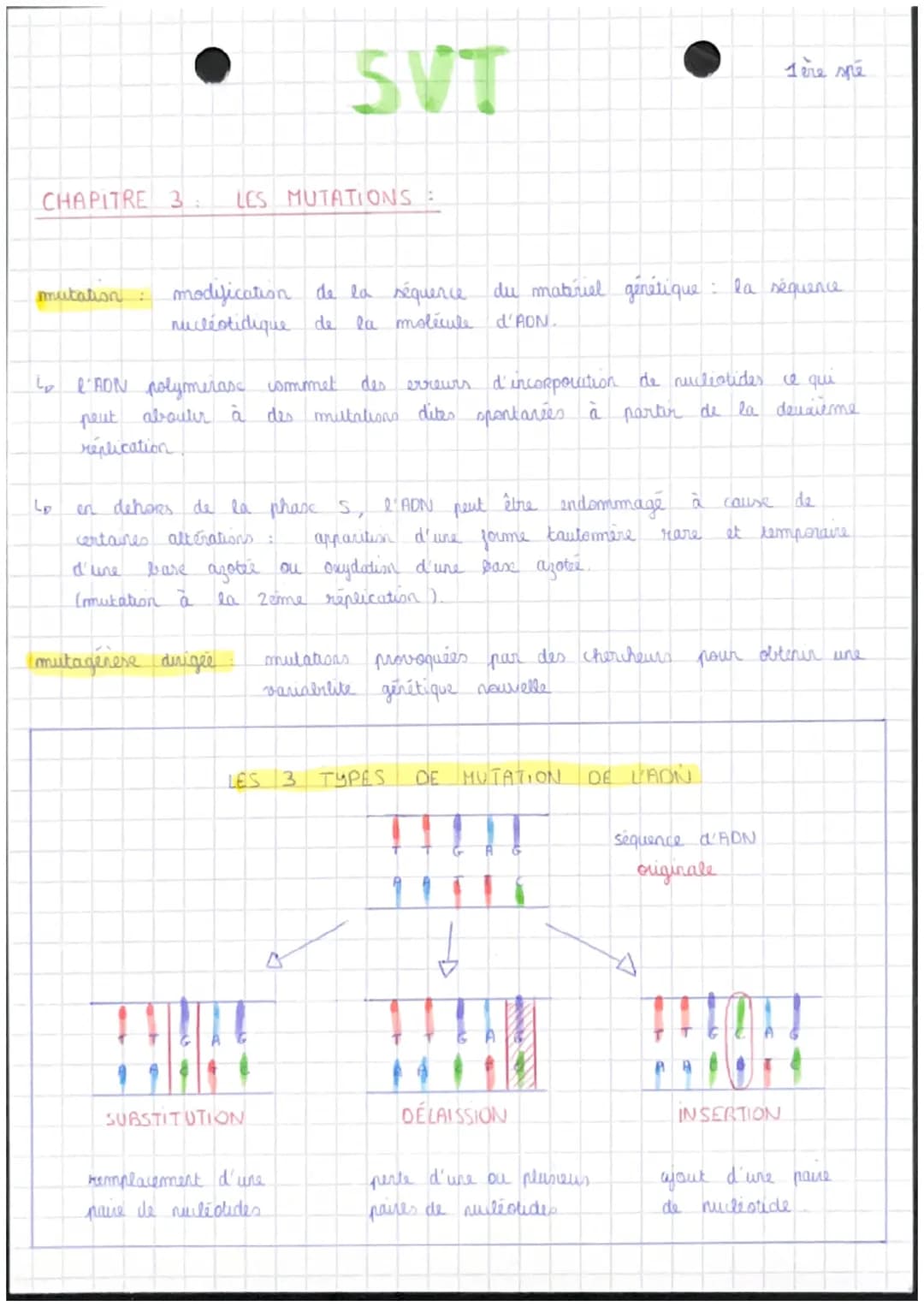 CHAPITRE 3: LES MUTATIONS :
mutation
Lp
modification de la séquence du matériel génétique : la séquence
nucleotidique de la molécule d'ADN.
